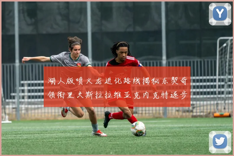 湖人版喷火龙进化路线揭秘东契奇领衔里夫斯拉拉维亚克内克特逐步崛起