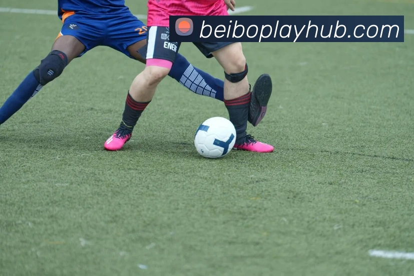 多媒体互动体验